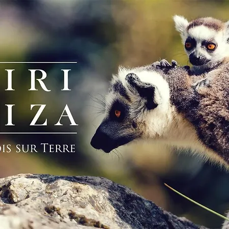 Luxury Center Apartamento Mons