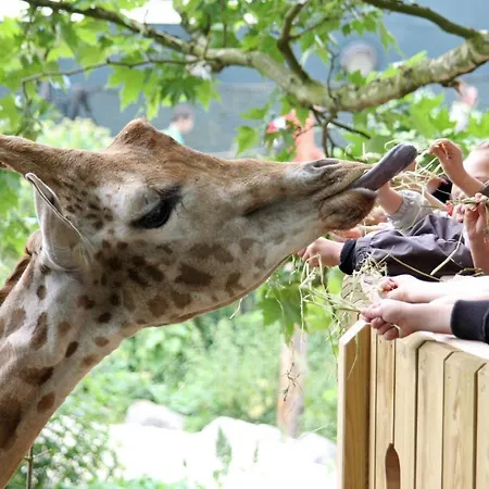 Luxury Center * Bergen