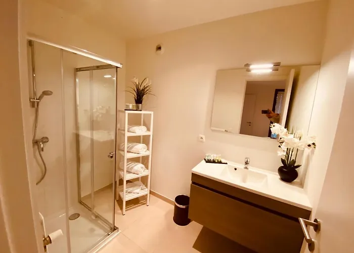 Apartment Luxury Center Mons